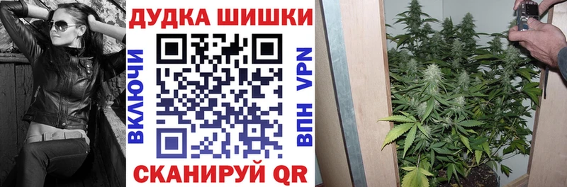 сколько стоит  Отрадное  Бошки Шишки VHQ 